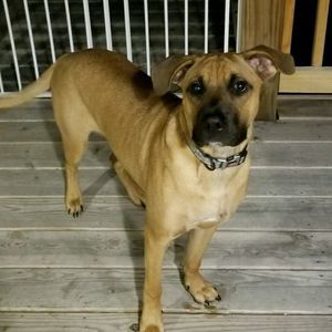 Meet your Posher, Khara